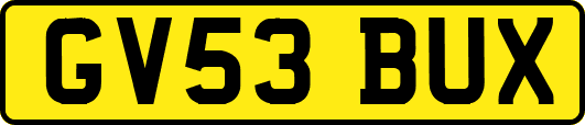 GV53BUX