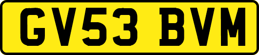 GV53BVM
