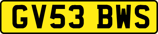 GV53BWS