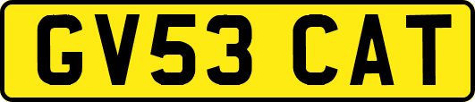 GV53CAT