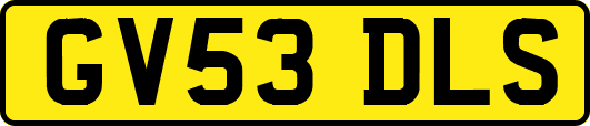 GV53DLS