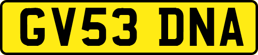 GV53DNA