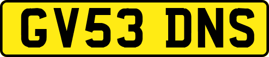GV53DNS