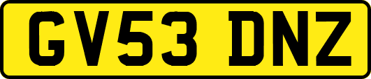 GV53DNZ