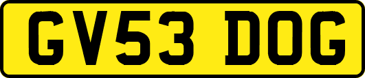 GV53DOG