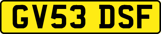 GV53DSF
