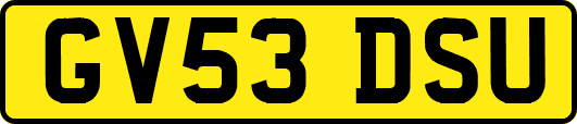 GV53DSU