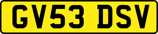 GV53DSV