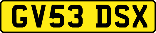 GV53DSX