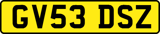 GV53DSZ