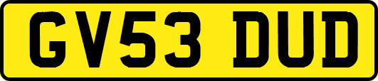 GV53DUD
