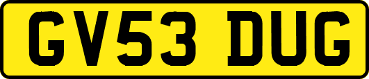 GV53DUG
