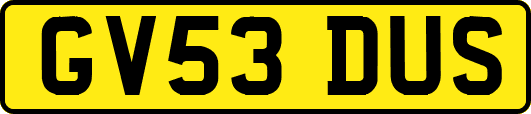 GV53DUS