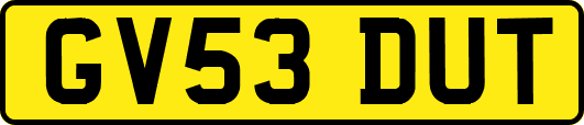GV53DUT