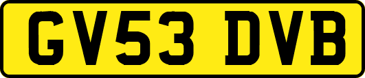 GV53DVB