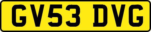 GV53DVG