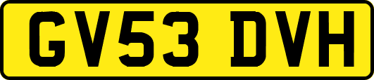GV53DVH