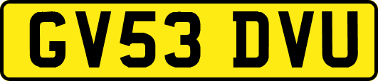 GV53DVU