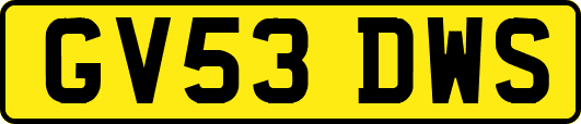 GV53DWS
