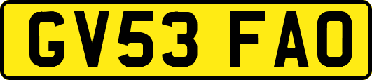 GV53FAO