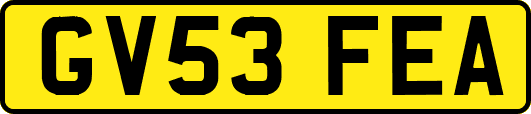 GV53FEA