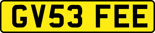 GV53FEE