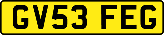 GV53FEG