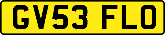 GV53FLO