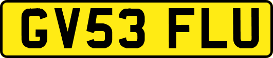 GV53FLU