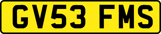 GV53FMS