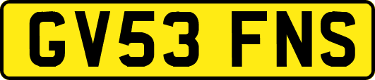 GV53FNS