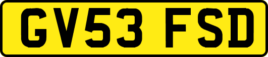 GV53FSD