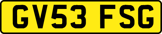 GV53FSG