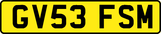 GV53FSM