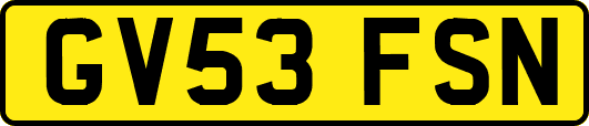 GV53FSN