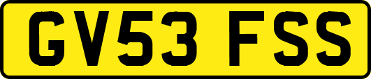 GV53FSS