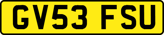 GV53FSU