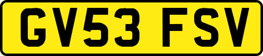 GV53FSV
