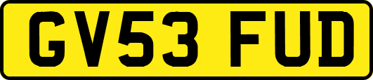 GV53FUD
