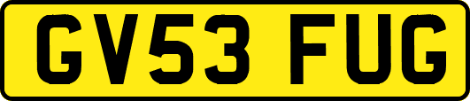 GV53FUG