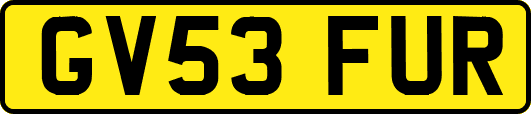 GV53FUR