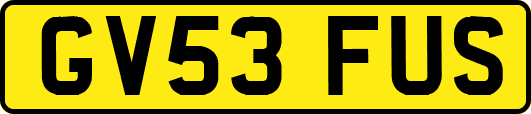 GV53FUS