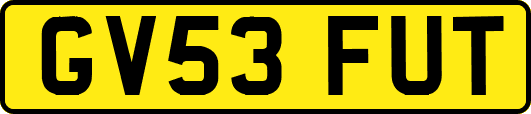 GV53FUT