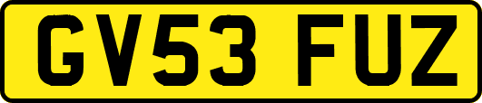 GV53FUZ