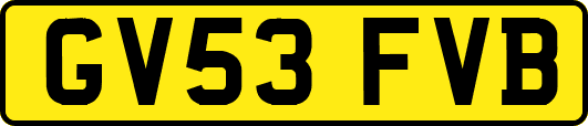 GV53FVB