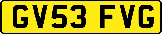 GV53FVG