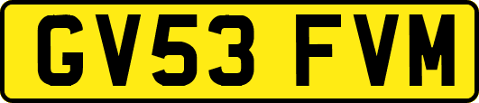 GV53FVM