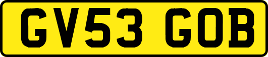 GV53GOB