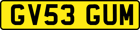 GV53GUM