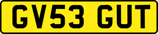 GV53GUT